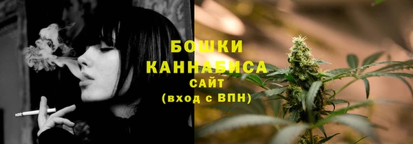 ECSTASY Костерёво