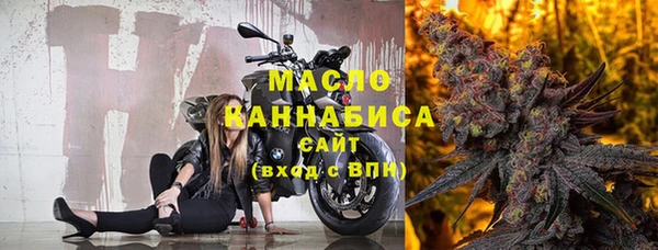 ПСИЛОЦИБИНОВЫЕ ГРИБЫ Дмитриев