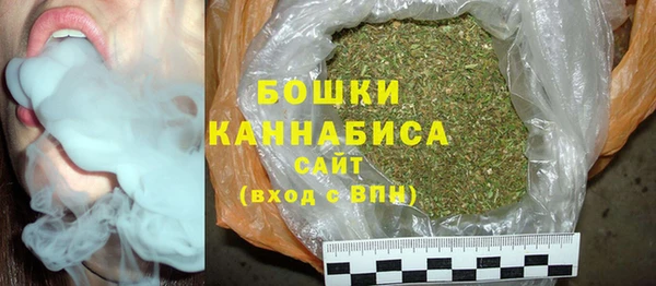 гашик Коряжма