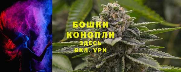 гашик Коряжма